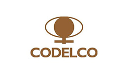 智利國(guo)傢(jia)銅業（Codelco）